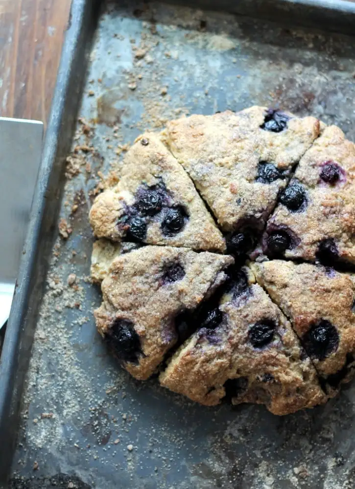 Healthy Blueberry Greek Yogurt Scones